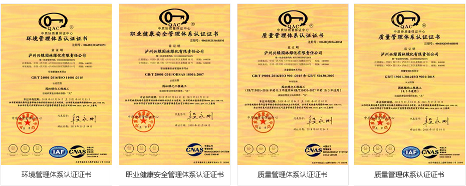 公司资质.jpg 资质荣誉3.jpg